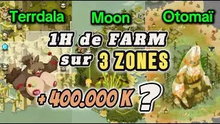 Dofus 2025 &ndash; 1H de Farm sur 3 Zones #2 🔥 Quelle est LA plus Rentable ?