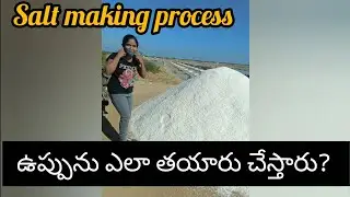 How salt is made naturally? | ఉప్పును ఎలా తయారు చేస్తారు? | Natural salt making process in Telugu