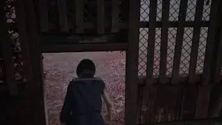 Silent Hill f # 5