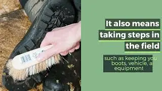 What is biosecurity?