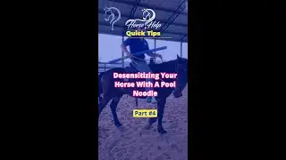 Quick Tips On Desensitizing Your Horse With A Pool Noodle! Part 4!| The Horse Guru - Michael Gascon