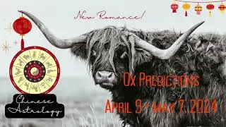 Ox Predictions Horoscope For April 9 - May 7, 2024  #astrology