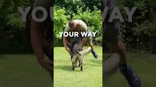Bred to love K9 Mania Protection Dogs your ultimate guardian!