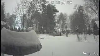 Snow storm timelapse