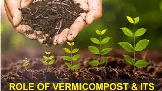 Best fertilizer to boost your plants 🪴 #vermicompost #plants #fertilizer #flowers #rosecaring