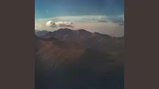 Musing Under Moonlight