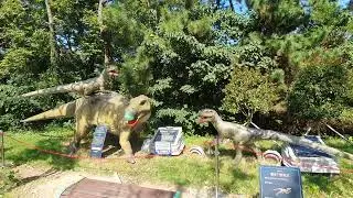 Giant Dinosaurs in Songdo Sky Park 🦖 | Meet the Velociraptor & Friends!#explore #travel #asiatravels