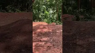 Gap jump at ride BHM #dirtjump #newtrick #mountainbike #mtbbike