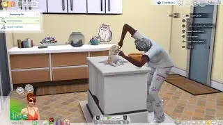 The Sims 4 Cupcake🧁#sick #thesims4 #pets #seasons #maxis #easports #gaming #gamergirl #dog #ps5 