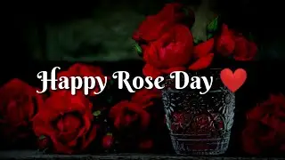 Happy Rose Day ❤ Rose Day Special Shayari ❤ Valentine's Week Shayari ❤ Rose Day Romantic Shayari