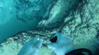 Morrison Springs Freedive