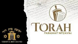 Torah Reading | Parashat NITZAVIM in Hebrew with English Translation