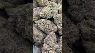 Jelousy cali bud #dojaflower #backpackboyz #jungleboys #calibud #caliplug