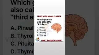 MCQ | DMLT & BSc MLT Students ke liyeHashtags #short #dmlt