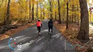 Bright & Colorful Autumn Virtual Bike Ride | Sourland Mountain, Hillsborough New Jersey