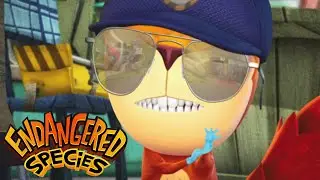 NEW! Borderline 🥜 | Endangered Species - WildBrain | Full Episodes for Kids