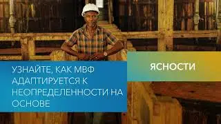 Годовой отчет МВФ 2025 года: &laquo;На пути к росту в эпоху неопределенности&raquo;