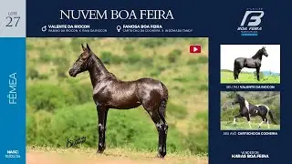 27 NUVEM BOA FEIRA