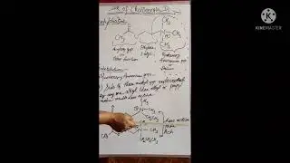 Structural Activity and Relationships of Cholinergic drugs