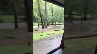 Hurricane Gordon - flooded creek