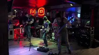 Free Bird - The Disapointmentz