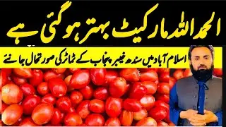 International Tomatoes Market Update | Sabzi Mandi Islamabad | 26 December 2025 Rates Update 