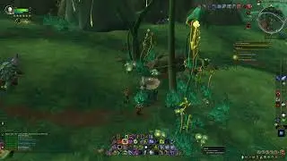 De nest stration & Feathered Fury, WoW Midnight Quests