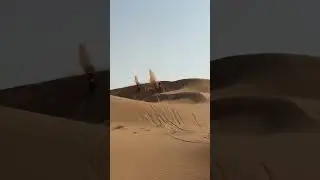 Sound On! Guess where they are coming from! #dakar2026  #automobile #motocross #motorsport #bike