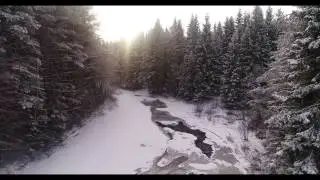Into the forest - DJI Phantom 4 Pro - Norway, January 2017