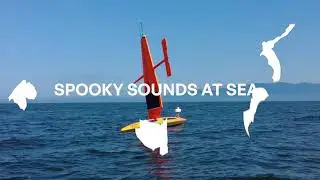 Миссия Saildrone 2023 Batcon