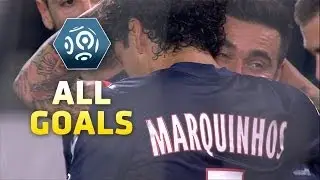 Ligue 1 - Week 25 : Goals compilation - 2013/2014