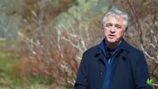 Brian Tobin  -  30 seconds