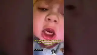 #audience #fypシ゚viral #funny #humorhub #youtubeshorts #cat #cute #baby #memes