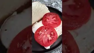 I tried a Tomato Mayo Sandwich