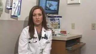 Dog Health Treatment & Advice : How to Treat Dog Conjunctivitis