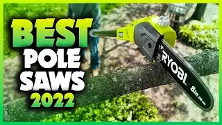 Top 5 Best Pole Saws You can Buy Right Now [2023]