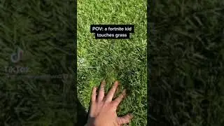 POV: a fortnite kid touches grass 🏞