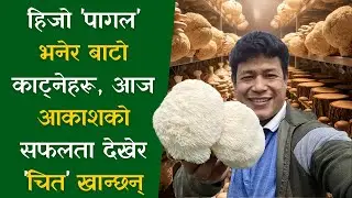 सबैले 'पागल' भन्दा पनि हार नमानेका आकाश: आज तिनै आलोचकहरू ताली बजाउन बाध्य छन्। Mushroom Farming