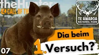 Die Suche nach dem DIA Razorback! | Te Awaroa Dia Lodge 7 | the Hunter Deutsch