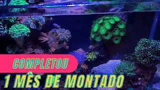 A temperatura chegou a 30°C, no meu nano marinho 😮