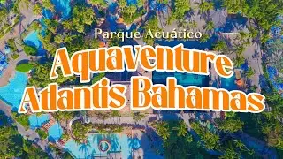 TODO lo que NECESITAS saber del parque acuático Aquadventure  Atlantis Bahamas