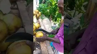 80 year + 😳 palmyra palm fruit  cutting skills #shortvideo #subscribe