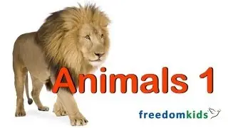 Kids Bible Videos - Animals Part 1  | Freedom Kids