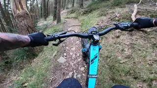 Afan Argoed (forest) .Graveyard section. Y Wal