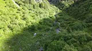ScoutFalls MountainScene towards waterfall lowtohigh