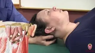 Suboccipital Tension Release