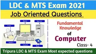 Job Oriented Questions || LDC & MTS Exam || Computer Knowledge || Class-4