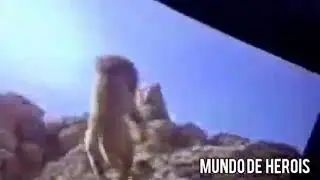 CENA DA MORTE MUFASA DO LIVE ACTION DE REI LEAO 2019