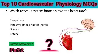 Cardiovascular Physiology Quiz | Nursing MCQs with Answers and Explanation