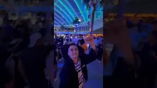 Crew Night Party Aida Nova Cruise Denmark 🇩🇰 Copenhagen Port #short #shorts #party #enjoyment